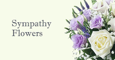 Maida Vale Sympathy Flowers