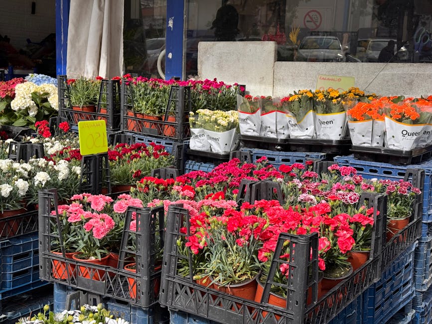 A display of various potted flowers arranged in black crate trays outside a shop, featuring vibrant pink, white, yellow, and orange blossoms with lush green foliage. The flowers include carnations and